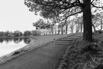Pond, tree and footpath, Inverleith Park, Edinburgh, Scotland in monochrome