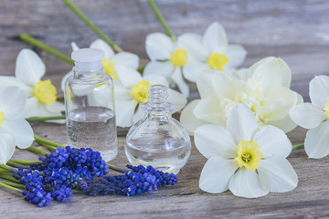 Obraz na płótnie Canvas vials with essential oil from narcissus and grape hyacinth on wooden background