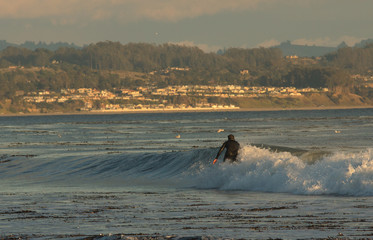 Monterey Bay surfer