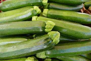 Fresh Zucchini