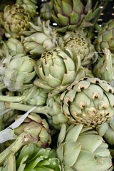 Fresh Artichokes