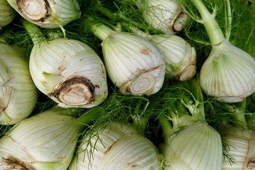 Fennel at the Farmers Market