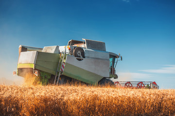 Combine harvester agriculture machine harvesting golden ripe wheat field