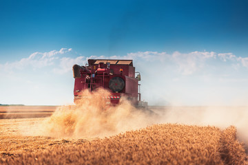 Obraz premium Combine harvester agriculture machine harvesting golden ripe wheat field