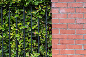 Brickwall facade in england