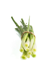 Spring onions on a isolated white background