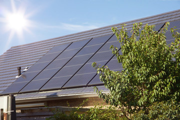 Photovoltaics on the roof of a residential building for alternative energy production with tree in foreground