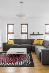 Corner couch in modern apartment