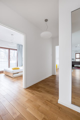 Open interior of modern apartment