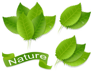 Elemente- Bl&auml;tter  f&uuml;r Marketing