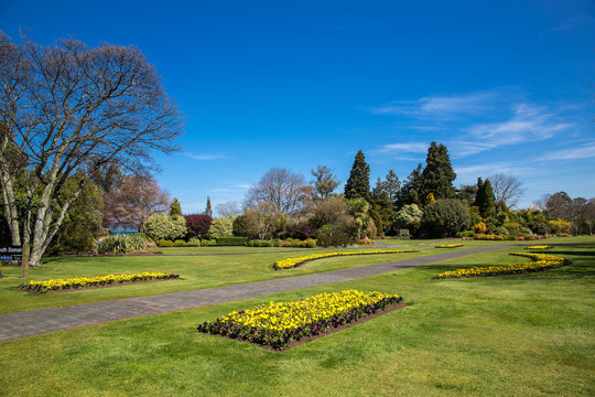View Of Wellington Botanic Garden.