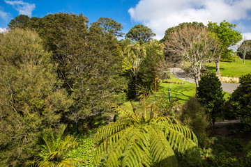 View of Wellington Botanic Garden.
