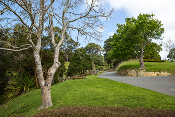 Fototapeta na wymiar View of Wellington Botanic Garden.