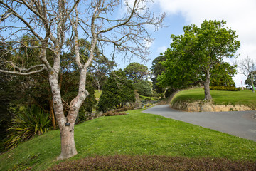 View of Wellington Botanic Garden.