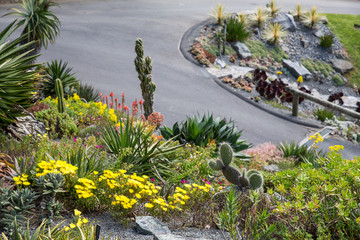 View of Wellington Botanic Garden.