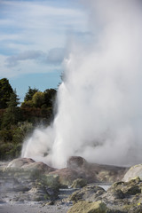 Fototapeta na wymiar View of Te Puia geyser in Rotorua, New Zealand.