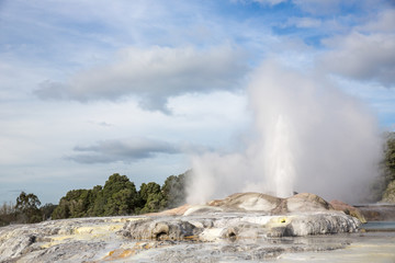 View of Te Puia geyser in Rotorua, New Zealand.