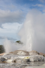 View of Te Puia geyser in Rotorua, New Zealand.