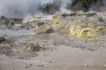 View of Te Puia geyser in Rotorua, New Zealand.