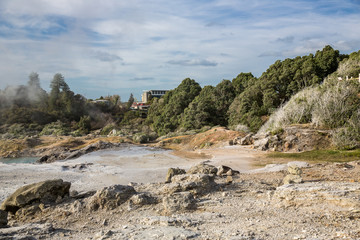 View of Te Puia geyser in Rotorua, New Zealand.