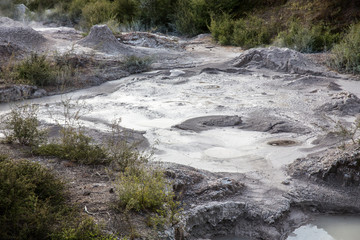View of Te Puia geyser in Rotorua, New Zealand.