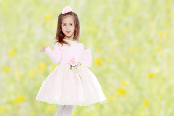 Obraz na płótnie Canvas Elegant little girl in a pink dress.