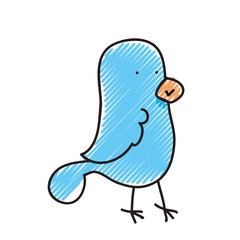 Cute birdie cartoon icon vector illustration graphic design