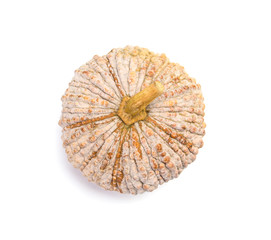fresh asian pumpkin on white background