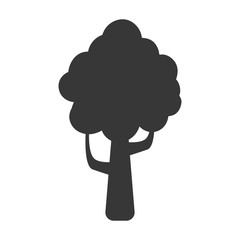 Tree silhouette symbol icon vector illustration graphic design