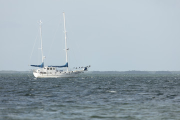 Obraz premium Sailboat Anchored off coast of Dredger Key Sigsbee - Key West Florida