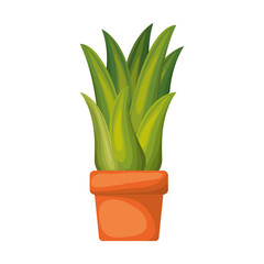 white background with corn plant in flower pot vector illustration