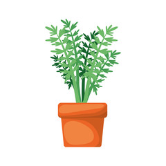 white background with carrot plant in flower pot vector illustration