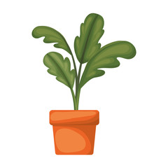 white background with beet plant in flower pot vector illustration