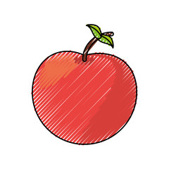 Apple delicious fruit icon vector illustration graphic design