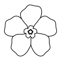 Fototapeta na wymiar beautiful flower icon over white background. vector illustration