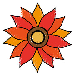 beautiful flower icon over white background. colorful design. vector illustration