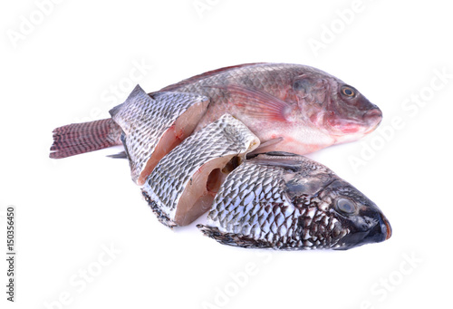Whole And Portion Cut Fresh Nile Tilapia Fish On White Background Whole And Portion Cut Fresh Nile Tilapia Fish On White Background