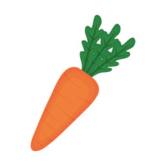 carrot vegetable icon over white background. vector illustration