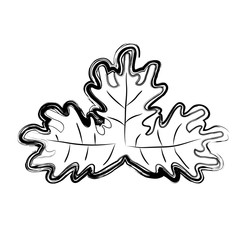 leaves icon over white background. vector illustration