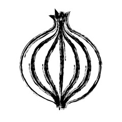 onion vegetable icon over white background. vector illustration