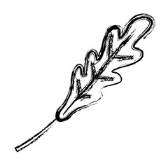 leaf icon over white background. vector illustration