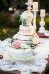 Cutsom Wedding Cake at Reception