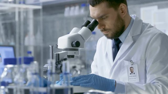 In a Modern Laboratory Assistant Brings Petri Dish to Chief Research Scientist who Starts Examining given Sample Under Microscope. Shot on RED EPIC-W 8K Helium Cinema Camera.