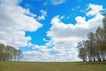 Fototapeta na wymiar Landscape with wide field and sunny cloudy sky in springtime