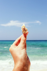Fototapeta na wymiar hermit crab on hand at Lipe island thailand