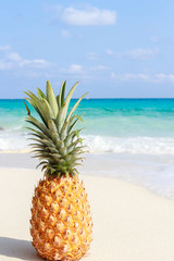Pineapple on the background of the Andaman sea, the Pacific ocean. Thailand Similan Islands
