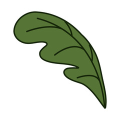 white background with leaf side view of beet with thick contour vector illustration