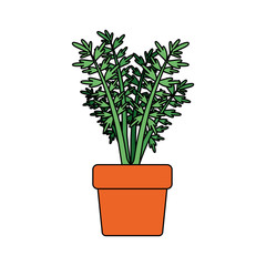 white background with carrot plant in flower pot with thick contour vector illustration
