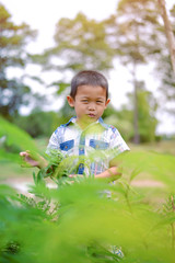 Portrait of young boy in nature, park or outdoors. cute kid outdoor. a child is smiling enjoying adopted life.
