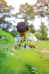 Portrait of young boy in nature, park or outdoors. cute kid outdoor. a child is smiling enjoying adopted life.